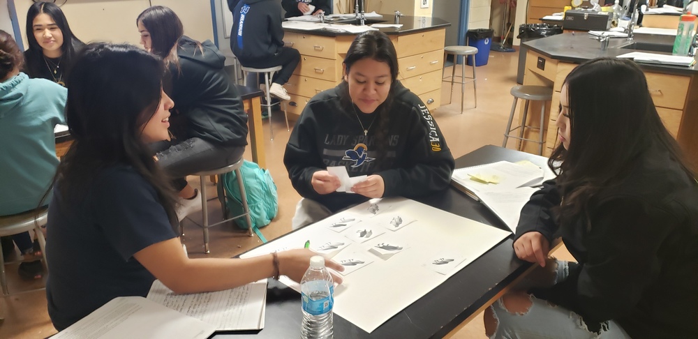 High School Students working in science class