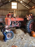 Pumpkin Patch at Mortimer Farms