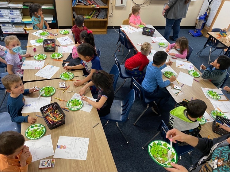kindergarten eating green eggs and ham
