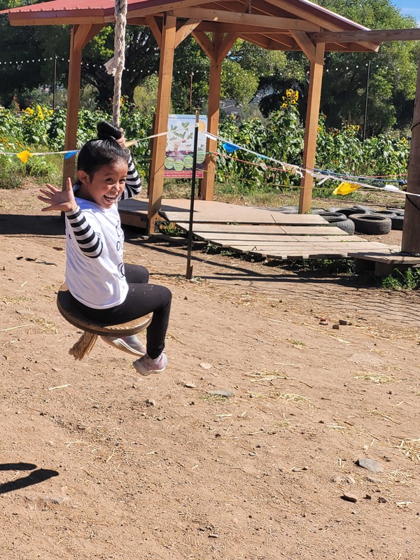 1st Semester, 1st Grade Ash Fork School District